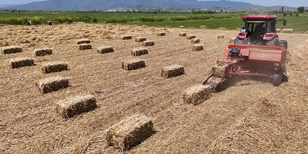 Tarlada balya mesaisi başladı! Fiyatın bu yıl 2 katına çıkması bekleniyor 1